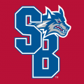 2008-Pres Stony Brook Seawolves Secondary Logo Decals Stickersing