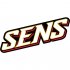 Ottawa Senators Script Logo  Iron-on Stickers (Heat Transfers)