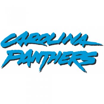 Carolina Panthers Script Logo  Iron-on Stickers (Heat Transfers)