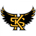 Kennesaw State Owls 2012-Pres Alternate Logo Iron-on Stickers (Heat Transfers)