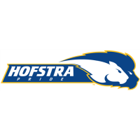 Hofstra Pride 2005-Pres Alternate Logo Iron-on Stickers (Heat Transfers)