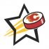 Calgary Flames Hockey Goal Star iron on transfer