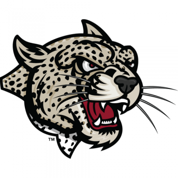 2000-Pres Lafayette Leopards Partial Logo Decals Stickers