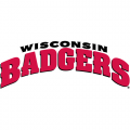 2002-Pres Wisconsin Badgers Wordmark Logo Decals Stickers