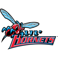 2004-Pres Delaware State Hornets Misc Logo