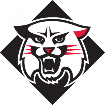 2010-Pres Davidson Wildcats Alternate Logo Decals Stickers