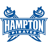 Hampton Pirates 2007-Pres Secondary Logo Iron-on Stickers (Heat Transfers)