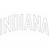 Indiana Pacers Script Logo  Decals Stickers version 3