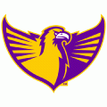 2006-Pres Tennessee Tech Golden Eagles Alternate Logo Decals Stickers