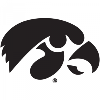 Iowa Hawkeyes 1979-Pres Alternate Logo Iron-on Stickers (Heat Transfers)