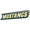 Cal Poly Mustangs 1999-Pres Wordmark Logo Iron-on Stickers (Heat Transfers)