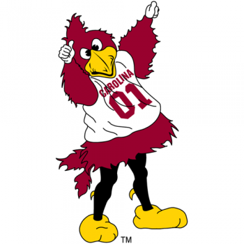 2002-Pres South Carolina Gamecocks Mascot Logo Iron-on Stickers (Heat Transfers)