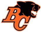 bc lions logo iron on transfers