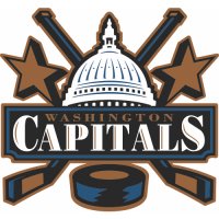 Washington Capitals Primary Logo  Iron-on Stickers (Heat Transfers)