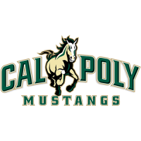 Cal Poly Mustangs 1999-Pres Primary Logo Iron-on Stickers (Heat Transfers)