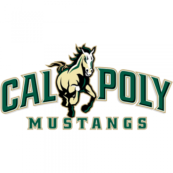 Cal Poly Mustangs 1999-Pres Primary Logo Iron-on Stickers (Heat Transfers)