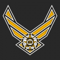 Airforce Boston Bruins logo