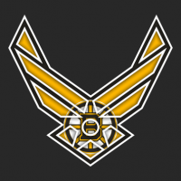 Airforce Boston Bruins logo