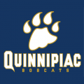 2002-Pres Quinnipiac Bobcats Wordmark Logo Iron-on Stickers (Heat Transfers)