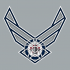 Airforce Winnipeg Jets Logo