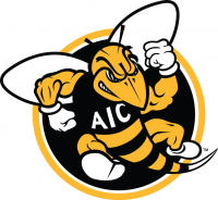 AIC Yellow Jackets 2009-Pres Alternate Logo6 Iron-on Stickers (Heat Transfers)