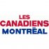 Montreal Canadiens Script Logo  Iron-on Stickers (Heat Transfers)