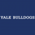 1998-Pres Yale Bulldogs Wordmark Logo Decals Stickers