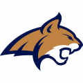 2013-Pres Montana State Bobcats Primary Logo Decals Stickers