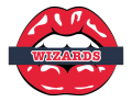 washington wizards script logo iron on transfers