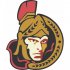 Ottawa Senators Alternate Logo  Iron-on Stickers (Heat Transfers)