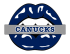 vancouver canucks script logo iron on transfers