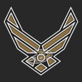 Airforce Anaheim Ducks Logo