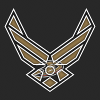 Airforce Anaheim Ducks Logo