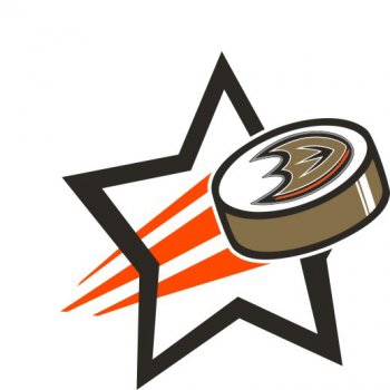 Anaheim Ducks Hockey Goal Star iron on transfer