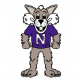 1998-Pres Northwestern Wildcats Mascot Logo Decals Stickers