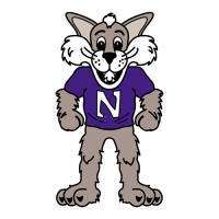 1998-Pres Northwestern Wildcats Mascot Logo Iron-on Stickers (Heat Transfers)