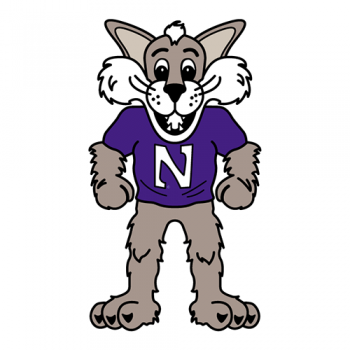 1998-Pres Northwestern Wildcats Mascot Logo Decals Stickers