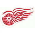 Detroit Red Wings Alternate Logo  Iron-on Stickers (Heat Transfers)