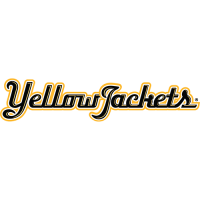 AIC Yellow Jackets 2009-Pres Wordmark Logo Iron-on Stickers (Heat Transfers)