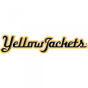 AIC Yellow Jackets 2009-Pres Wordmark Logo Decals Stickers