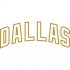 Dallas Stars Script Logo  Decals Stickers version 1