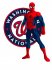 Washington Nationals Spider Man iron on transfers