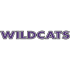 Abilene Christian Wildcats 1997-2012 Wordmark Logo Decals Stickers