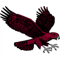 2007-Pres Maryland-Eastern Shore Hawks Secondary Logo Decals Stickers