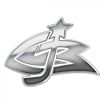 Columbus Blue Jackets silver logo iron on transfer