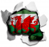 hulk Wales Flag iron on transfer