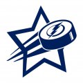 tampa bay lightning Hockey Goal Star iron on transfer