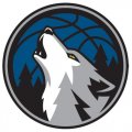 Minnesota Timberwolves Alternate Logo  Iron-on Stickers (Heat Transfers) version 1