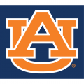 Auburn Tigers 1982-Pres Alternate Logo Iron-on Stickers (Heat Transfers)