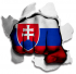 hulk SLOVAKIA Flag iron on transfer